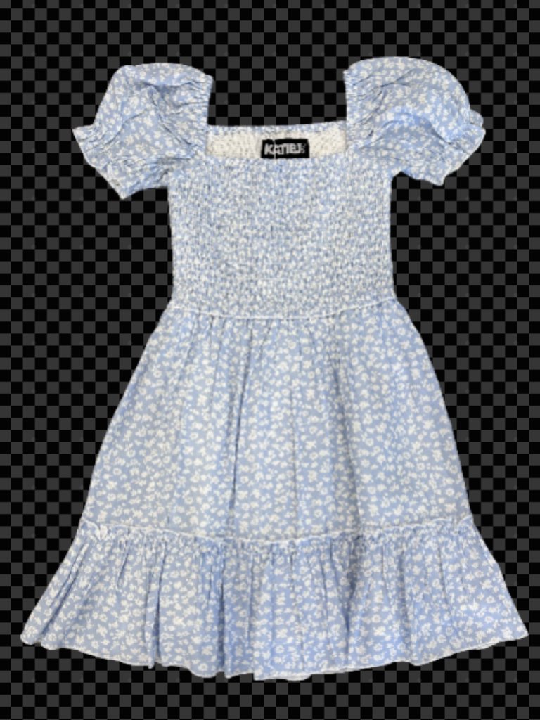 Nwt Katie J Nyc Blue Floral Molly Dress
